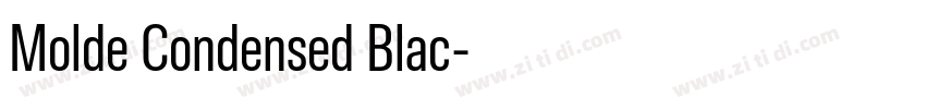 Molde Condensed Blac字体转换
